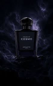 HOUSE OF COSMO-DARK MATTER